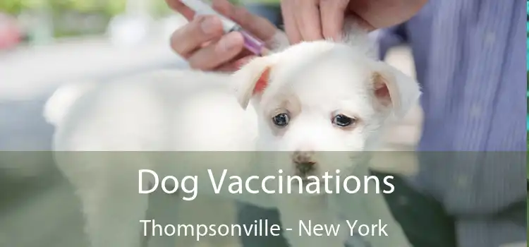 Dog Vaccinations Thompsonville - New York