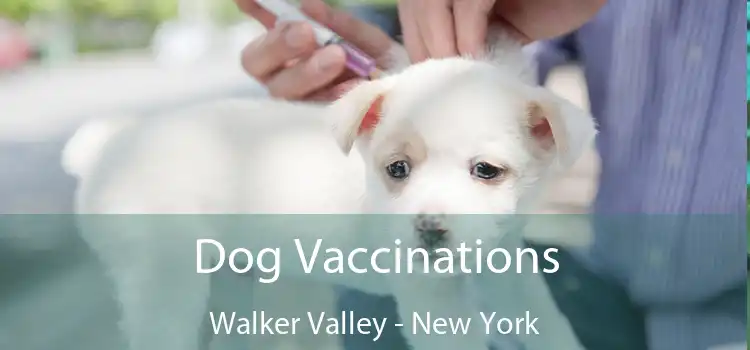 Dog Vaccinations Walker Valley - New York