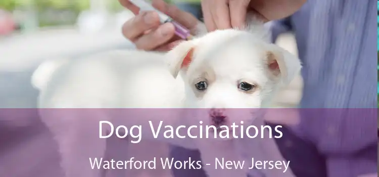 Dog Vaccinations Waterford Works - New Jersey