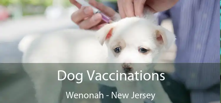 Dog Vaccinations Wenonah - New Jersey