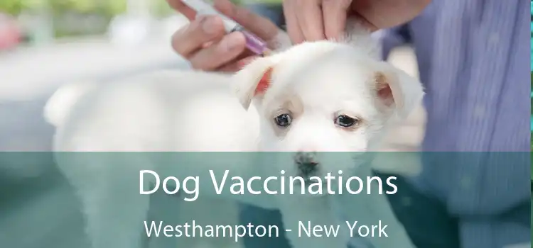 Dog Vaccinations Westhampton - New York