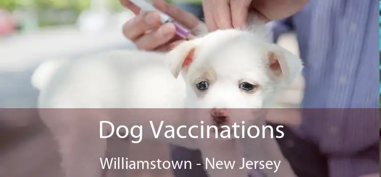 Dog Vaccinations Williamstown - New Jersey