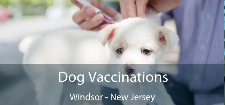 Dog Vaccinations Windsor - New Jersey