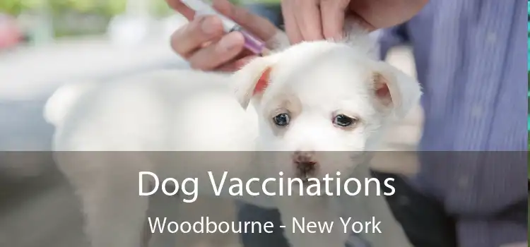 Dog Vaccinations Woodbourne - New York