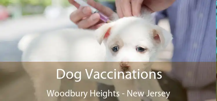 Dog Vaccinations Woodbury Heights - New Jersey