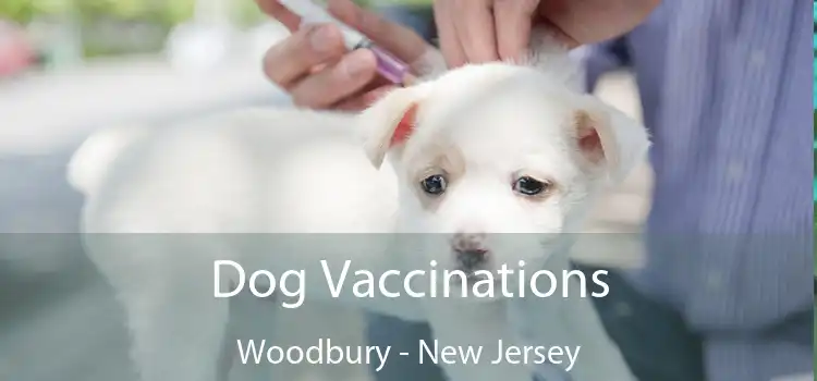 Dog Vaccinations Woodbury - New Jersey