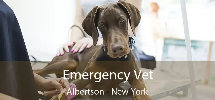 Emergency Vet Albertson - New York