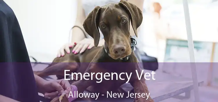 Emergency Vet Alloway - New Jersey