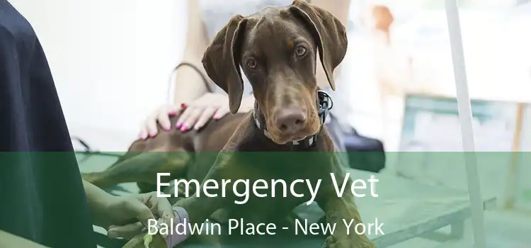 Emergency Vet Baldwin Place - New York