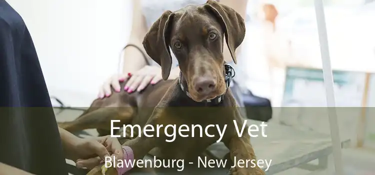 Emergency Vet Blawenburg - New Jersey