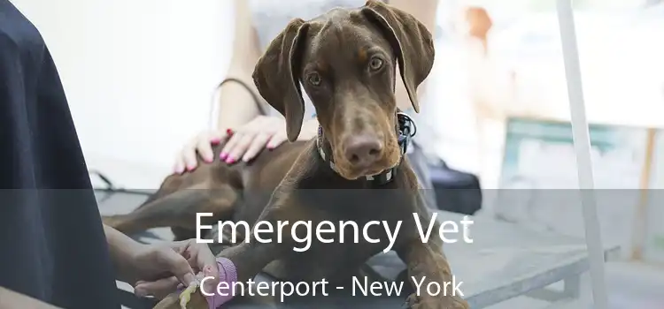 Emergency Vet Centerport - New York