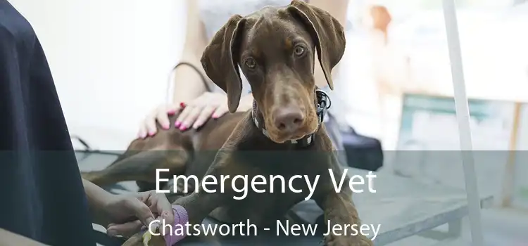 Emergency Vet Chatsworth - New Jersey