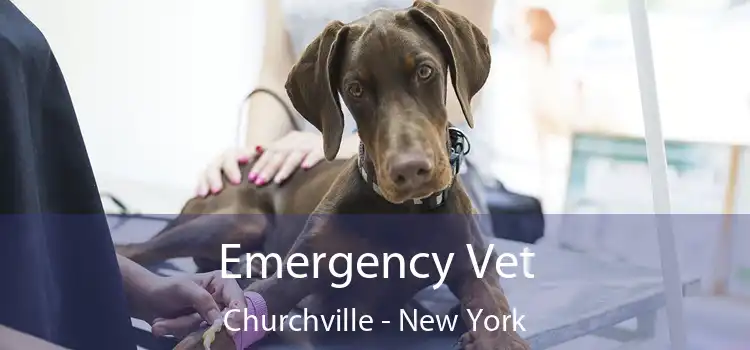 Emergency Vet Churchville - New York