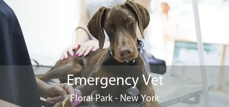 Emergency Vet Floral Park - New York