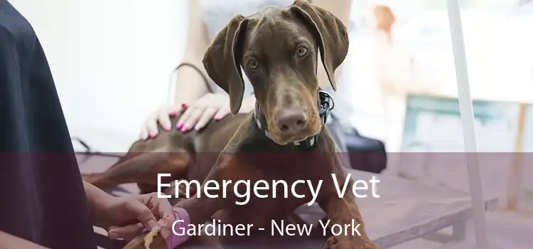 Emergency Vet Gardiner - New York