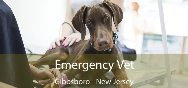 Emergency Vet Gibbsboro - New Jersey