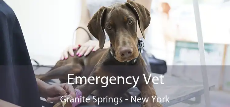 Emergency Vet Granite Springs - New York