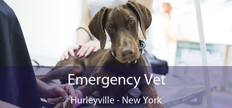 Emergency Vet Hurleyville - New York