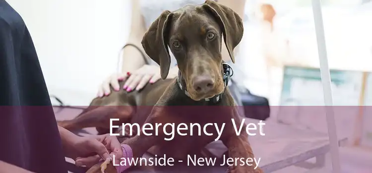 Emergency Vet Lawnside - New Jersey