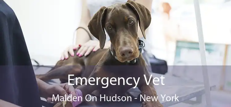 Emergency Vet Malden On Hudson - New York