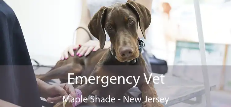 Emergency Vet Maple Shade - New Jersey