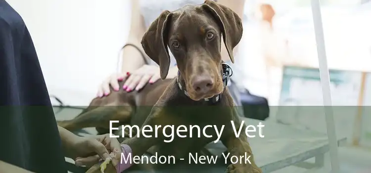 Emergency Vet Mendon - New York