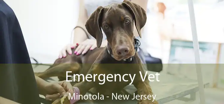 Emergency Vet Minotola - New Jersey