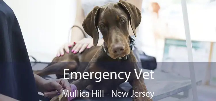 Emergency Vet Mullica Hill - New Jersey