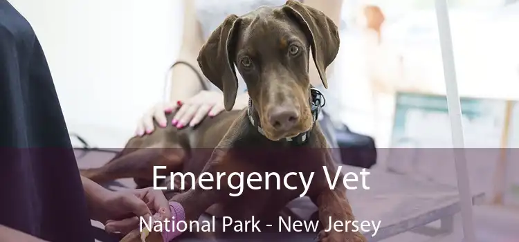 Emergency Vet National Park - New Jersey