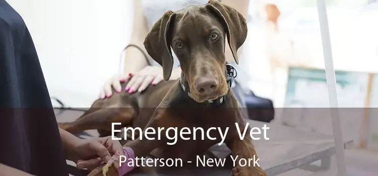 Emergency Vet Patterson - New York