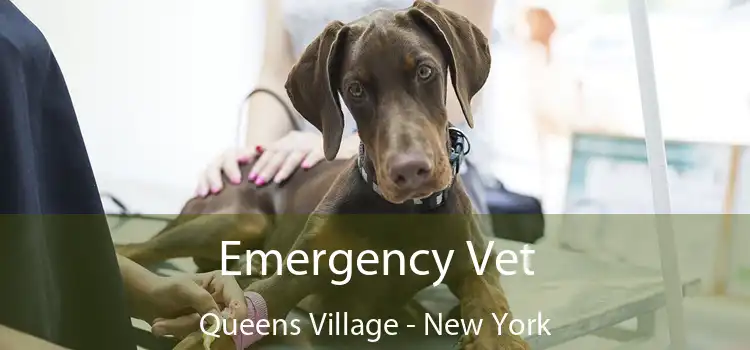 Emergency Vet Queens Village - New York