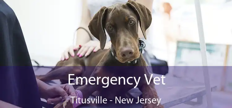 Emergency Vet Titusville - New Jersey