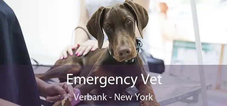 Emergency Vet Verbank - New York