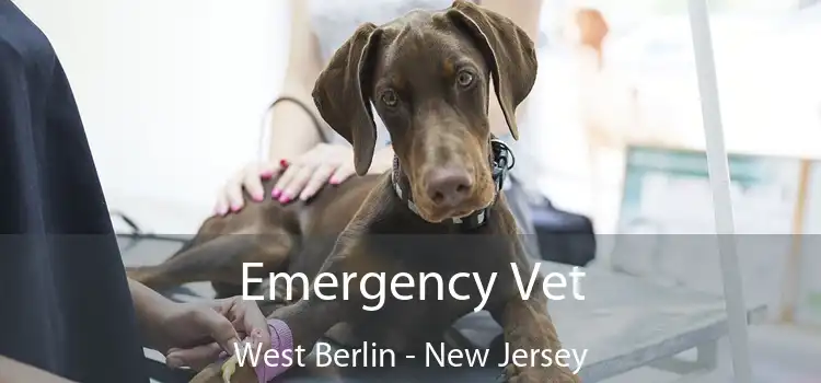 Emergency Vet West Berlin - New Jersey