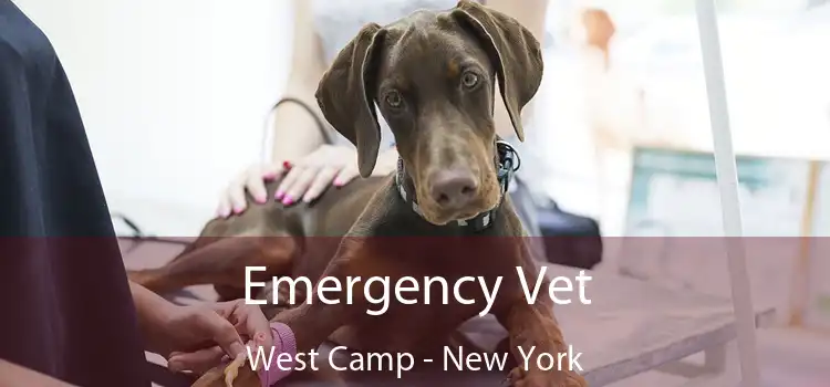 Emergency Vet West Camp - New York