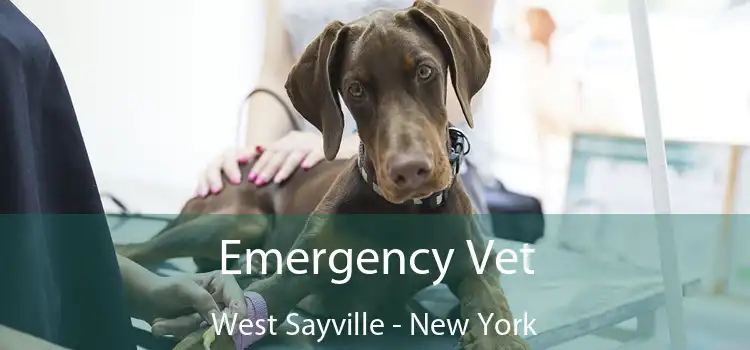 Emergency Vet West Sayville - New York