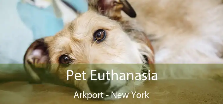 Pet Euthanasia Arkport - New York