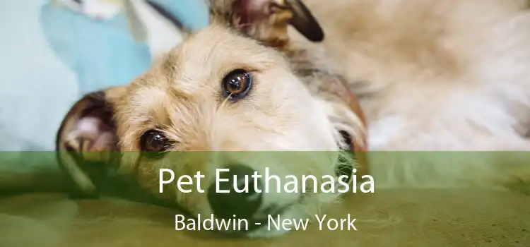 Pet Euthanasia Baldwin - New York