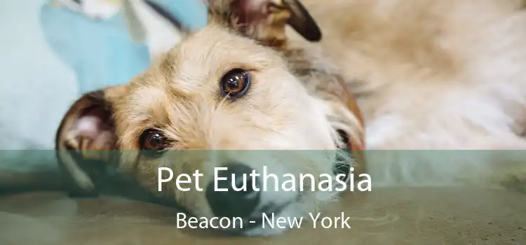 Pet Euthanasia Beacon - New York