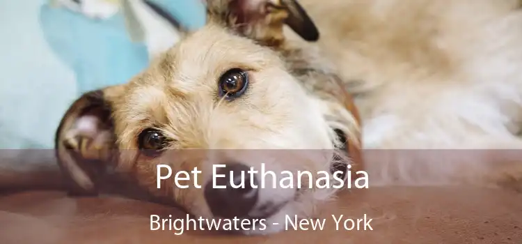 Pet Euthanasia Brightwaters - New York