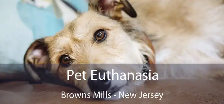 Pet Euthanasia Browns Mills - New Jersey