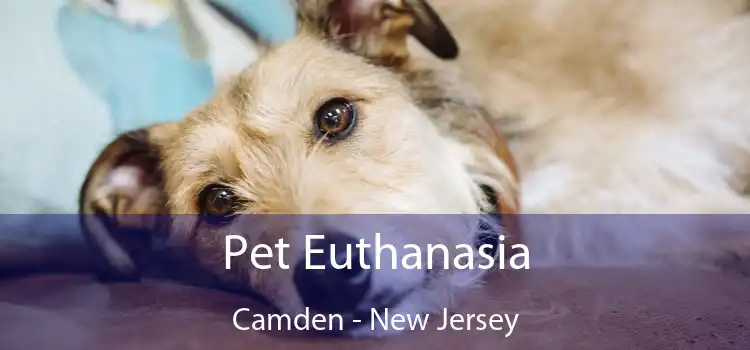 Pet Euthanasia Camden - New Jersey