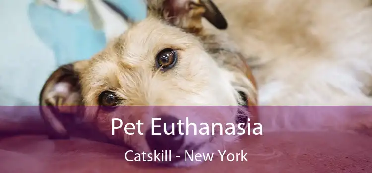 Pet Euthanasia Catskill - New York