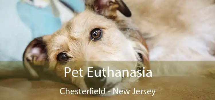 Pet Euthanasia Chesterfield - New Jersey