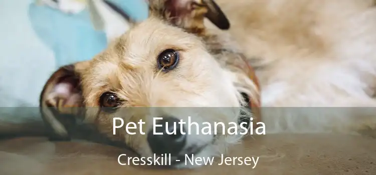 Pet Euthanasia Cresskill - New Jersey