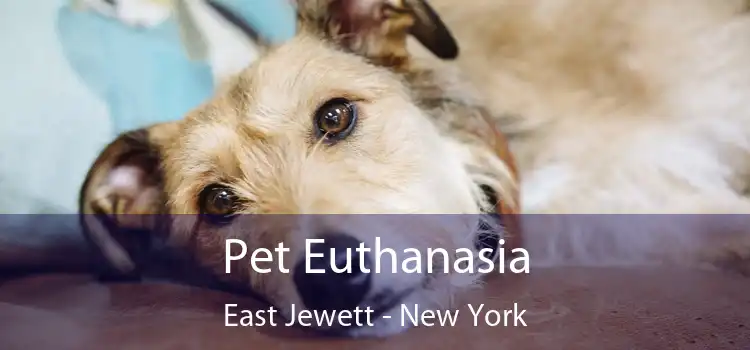 Pet Euthanasia East Jewett - New York