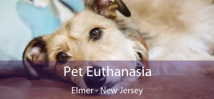 Pet Euthanasia Elmer - New Jersey