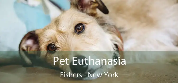 Pet Euthanasia Fishers - New York