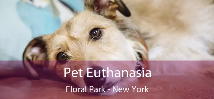 Pet Euthanasia Floral Park - New York