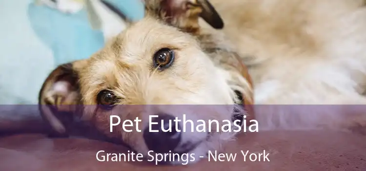 Pet Euthanasia Granite Springs - New York